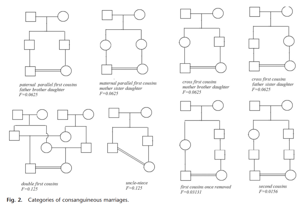 Consanguinity